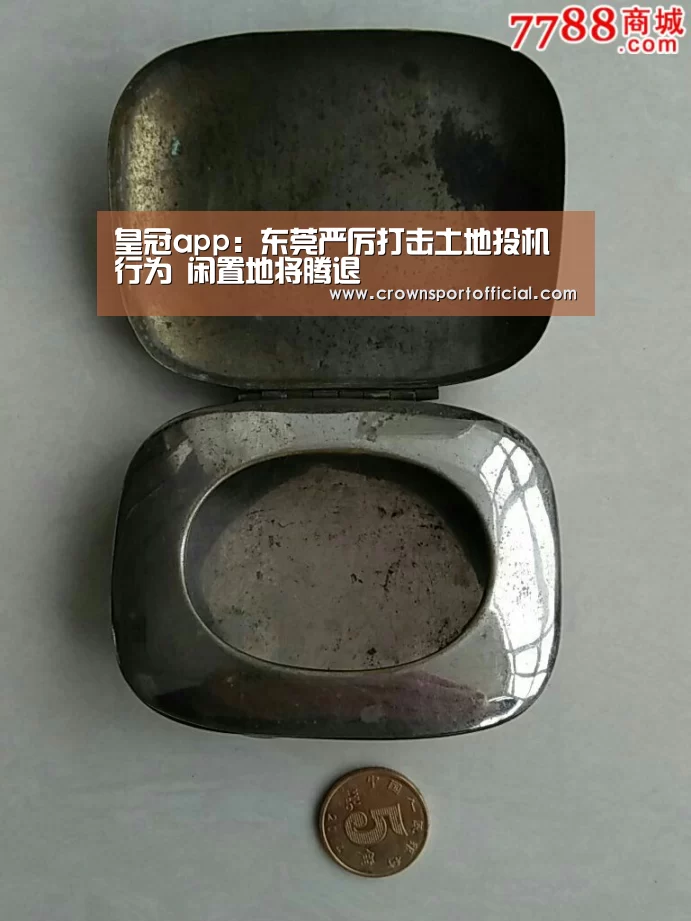 皇冠app:东莞严厉打击土地投机行为 闲置地将腾退(图4) 皇冠app