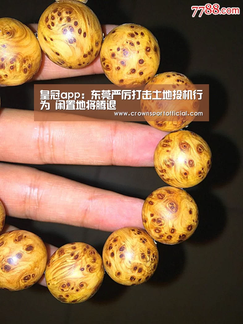 皇冠app:东莞严厉打击土地投机行为 闲置地将腾退(图2) 皇冠体育网址