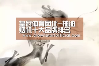 皇冠体育网址-抽油烟机十大品牌排名(图2) 皇冠体育网址-抽油烟机十大品牌排名(图2)