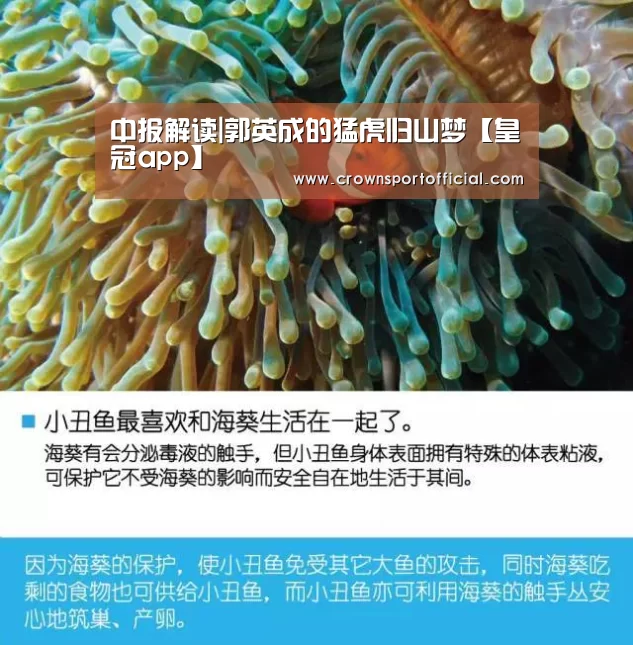 中报解读|郭英成的猛虎归山梦【皇冠app】(图1) 皇冠体育网址