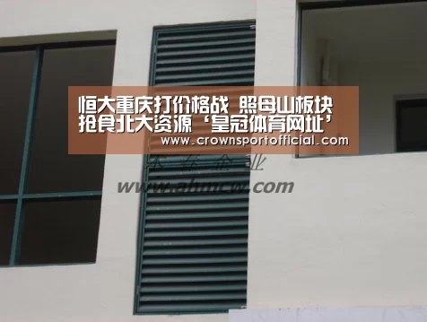 皇冠体育网址