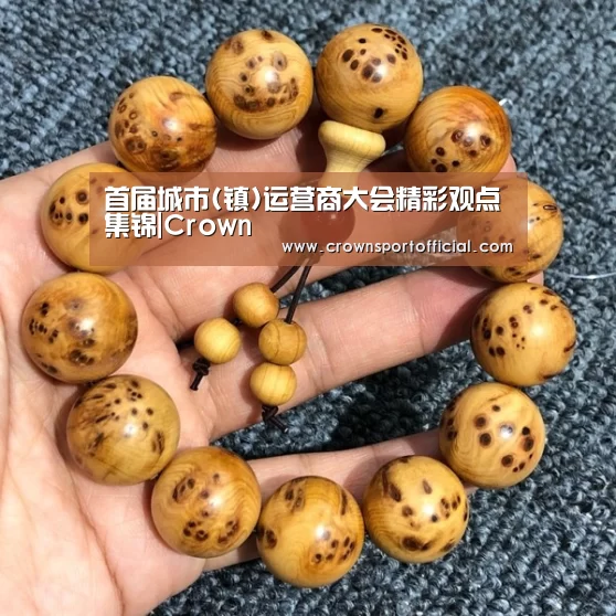首届城市(镇)运营商大会精彩观点集锦|Crown(图1) 皇冠体育网址